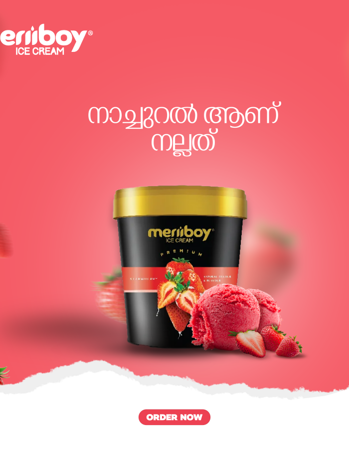 meriboy copy